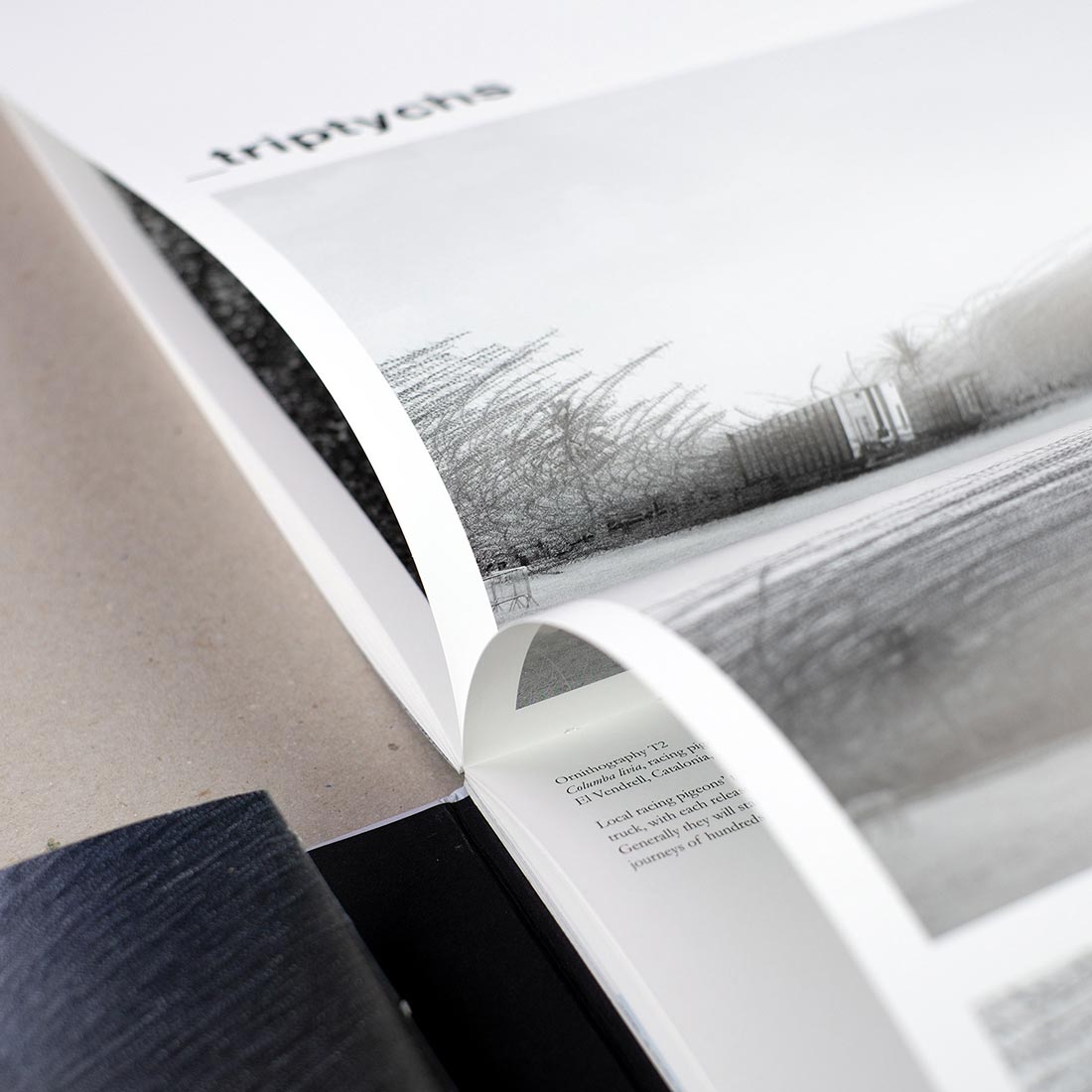 Llibre obert amb fotos blanc i negre